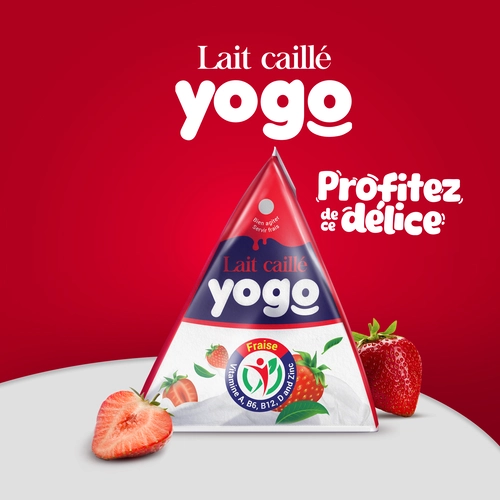 Yogo Product