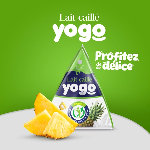 Yogo Product