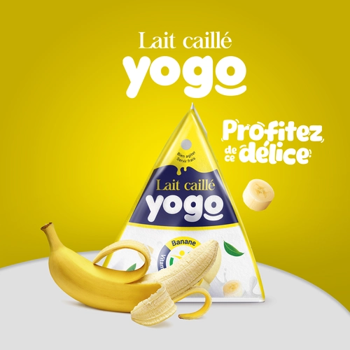 Yogo Product